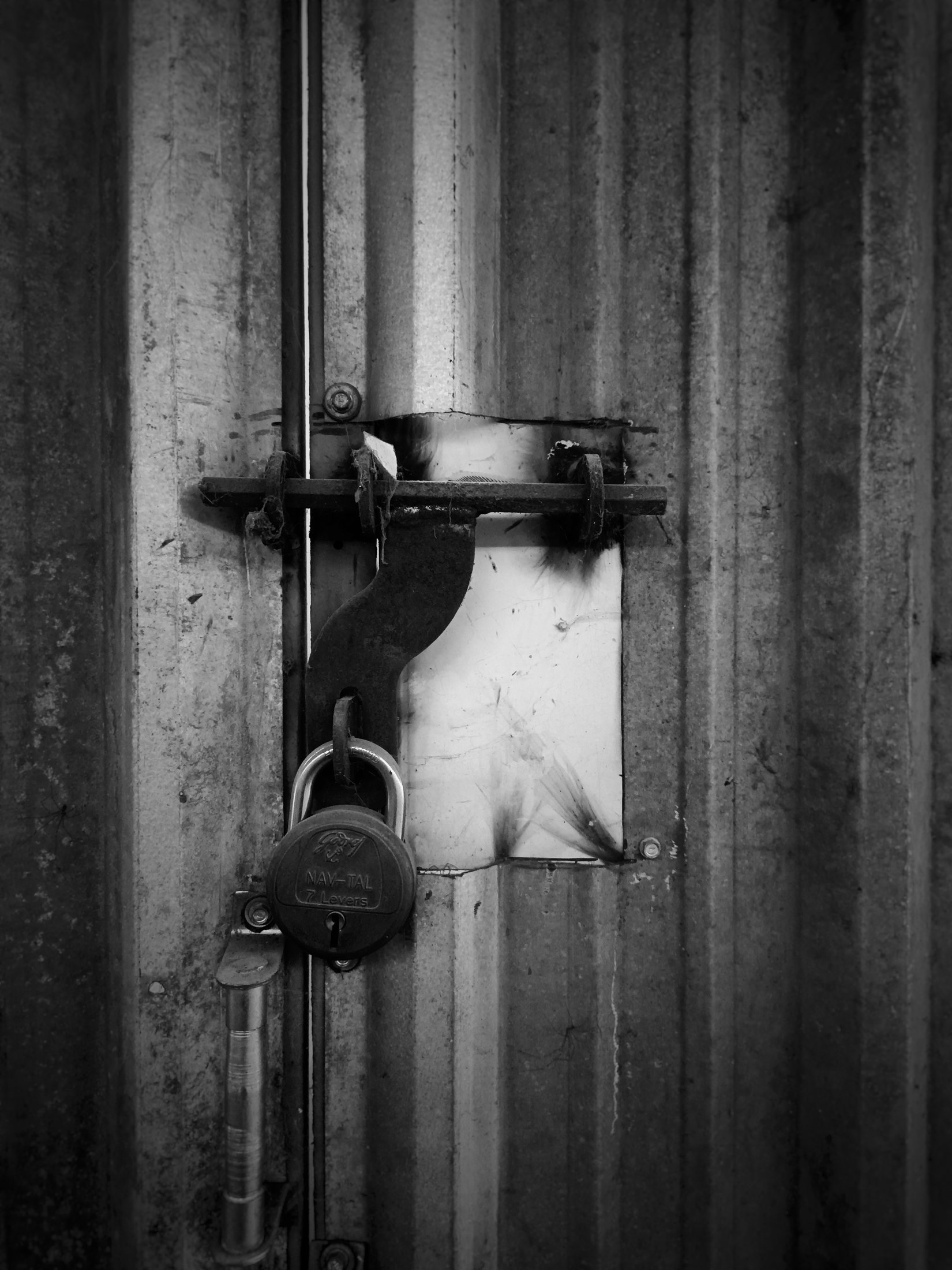Photograph 01 - Archival Print by Dhwani Kamdar