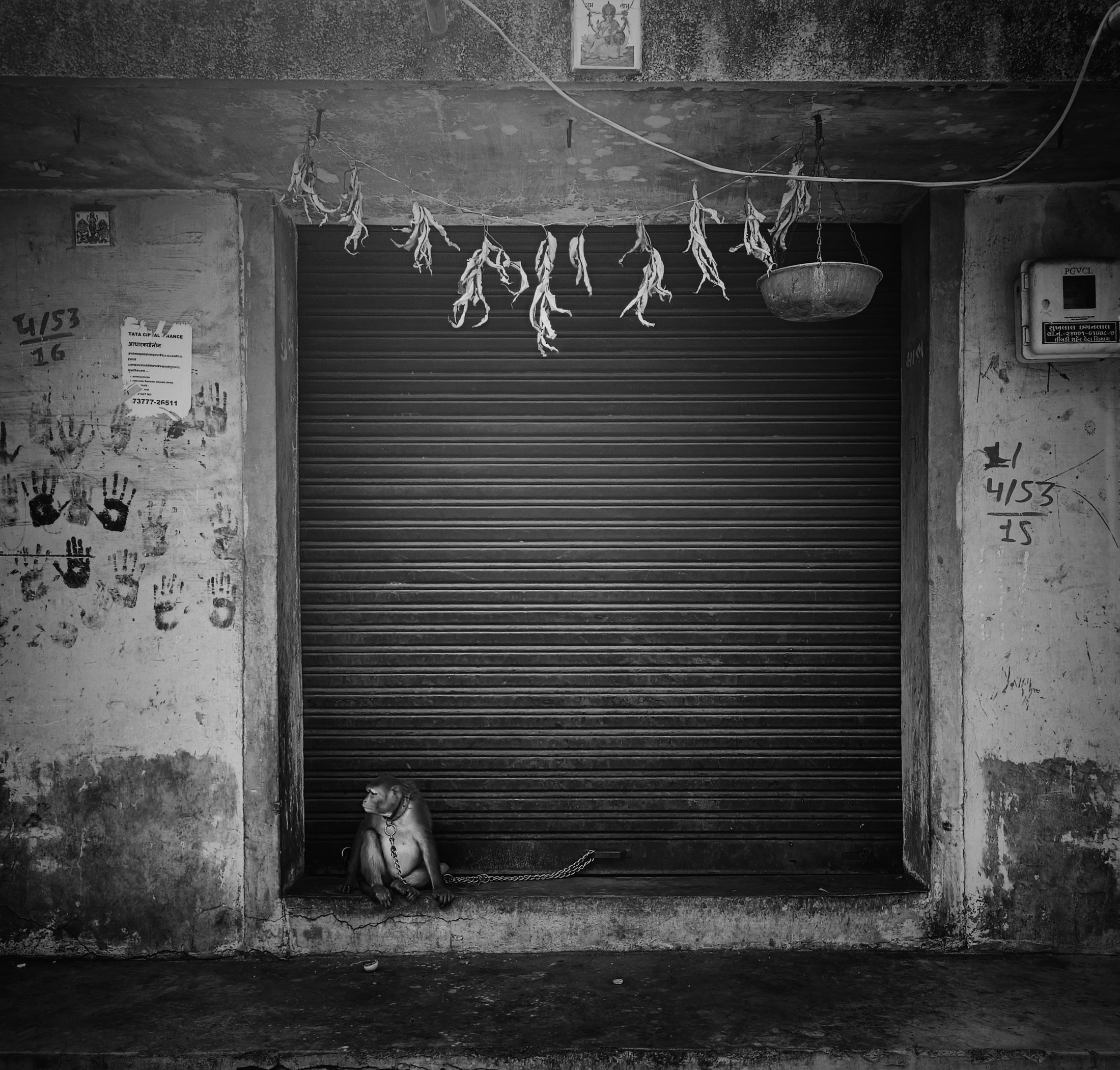 Photograph 04 - Archival Print by Dhwani Kamdar