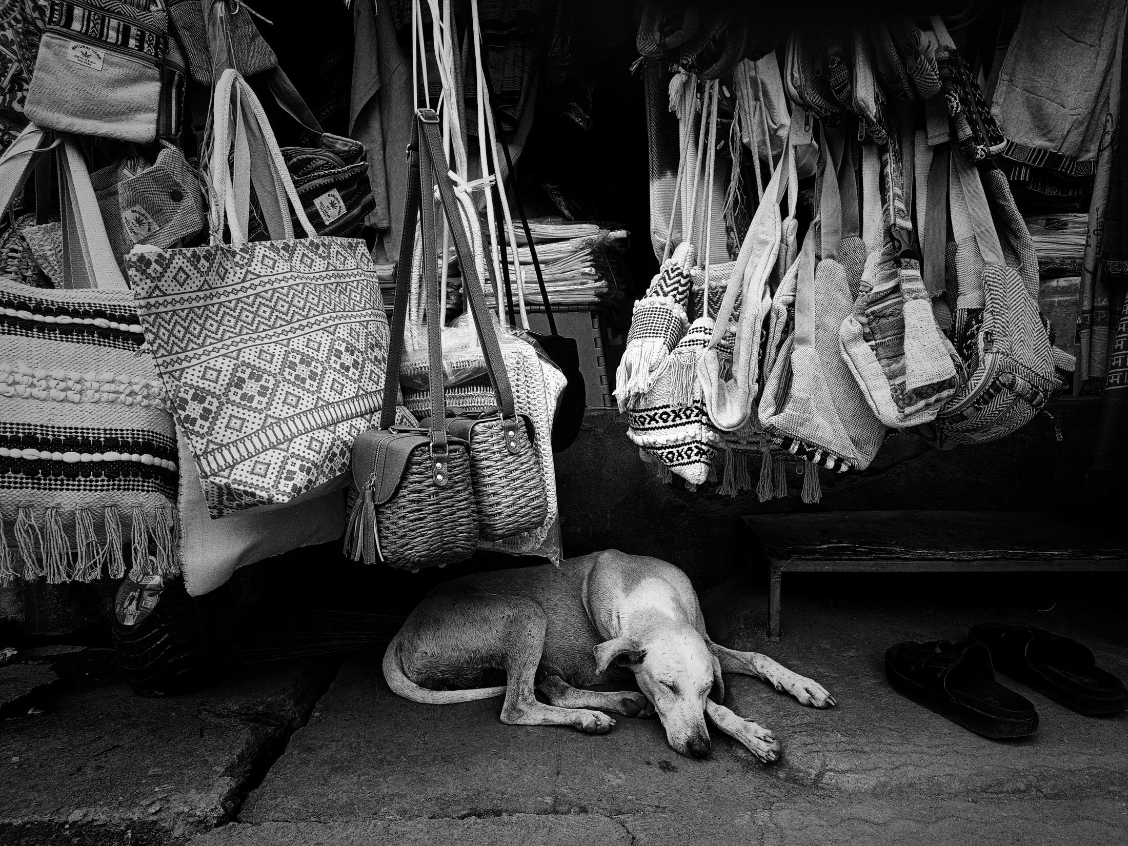 Photograph 10 - Archival Print by Dhwani Kamdar