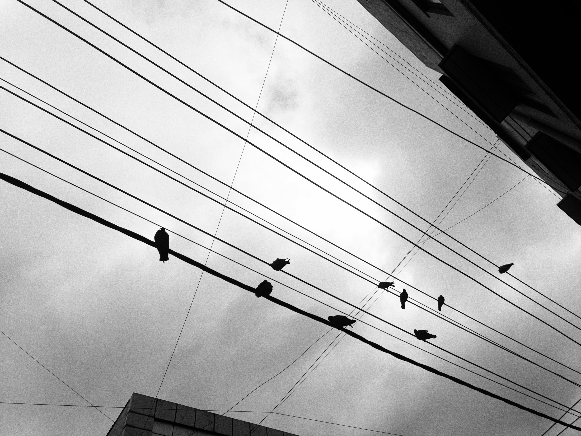 Photograph 11 - Archival Print by Dhwani Kamdar