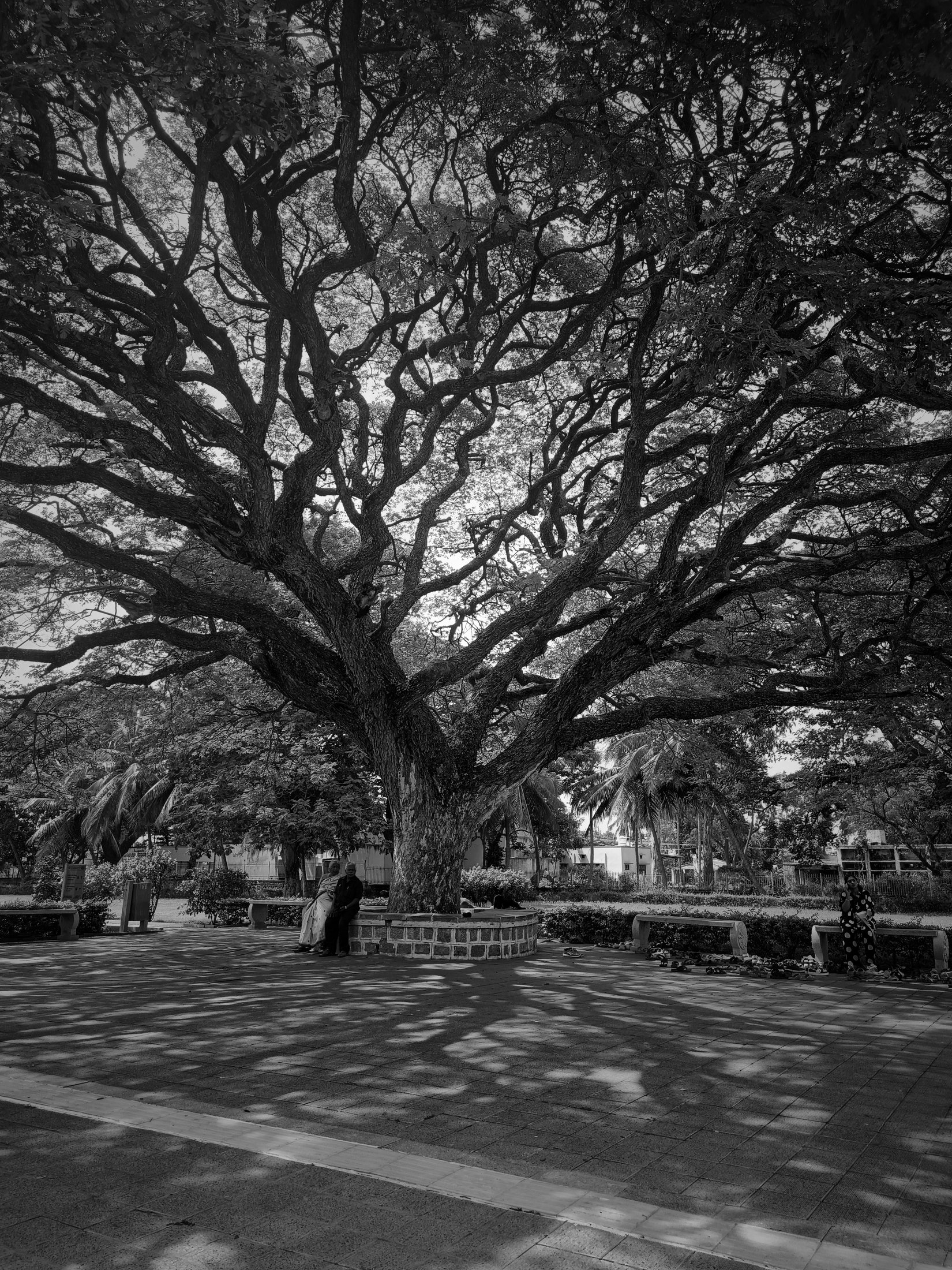 Photograph 13 - Archival Print by Dhwani Kamdar