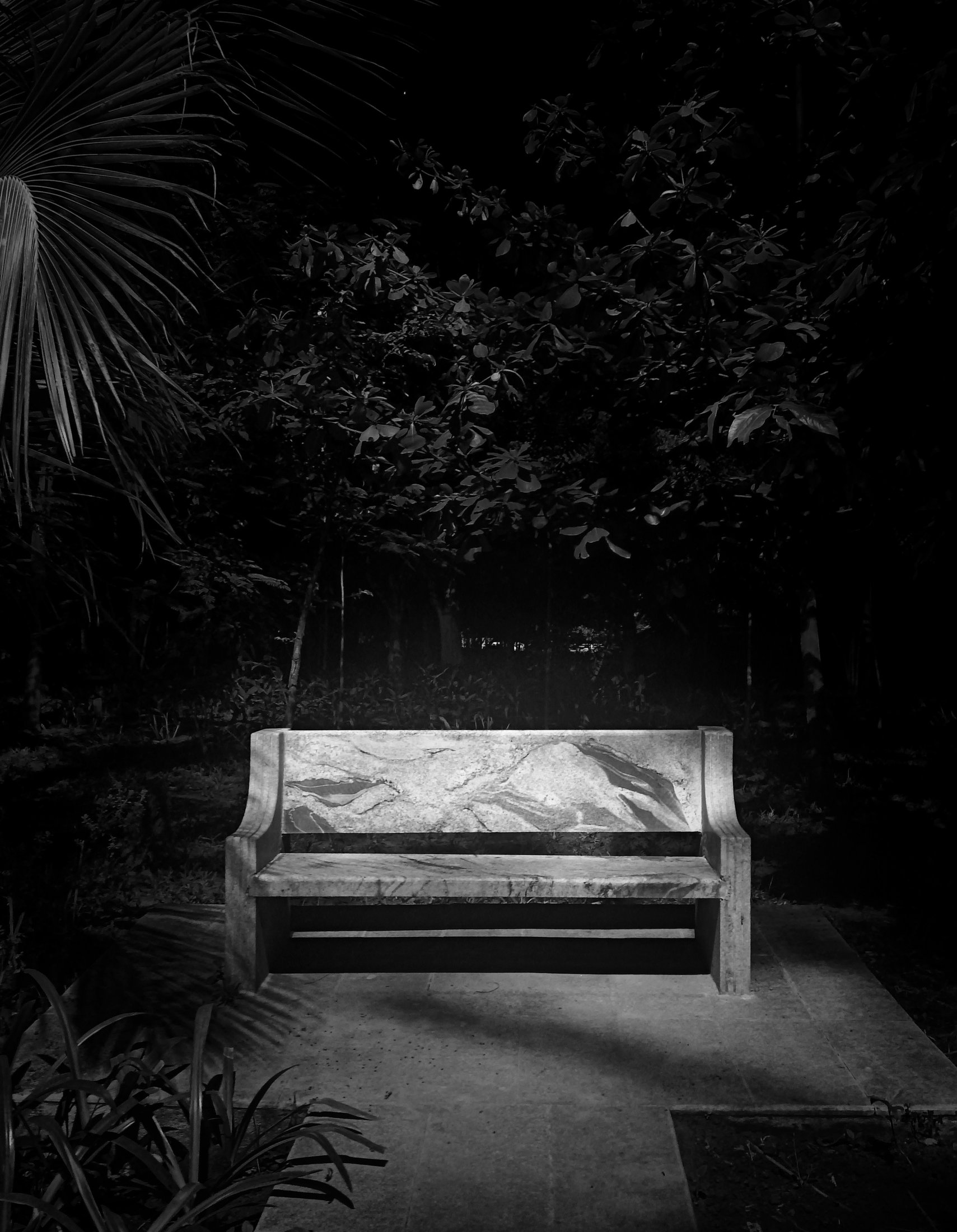 Photograph 16 - Archival Print by Dhwani Kamdar