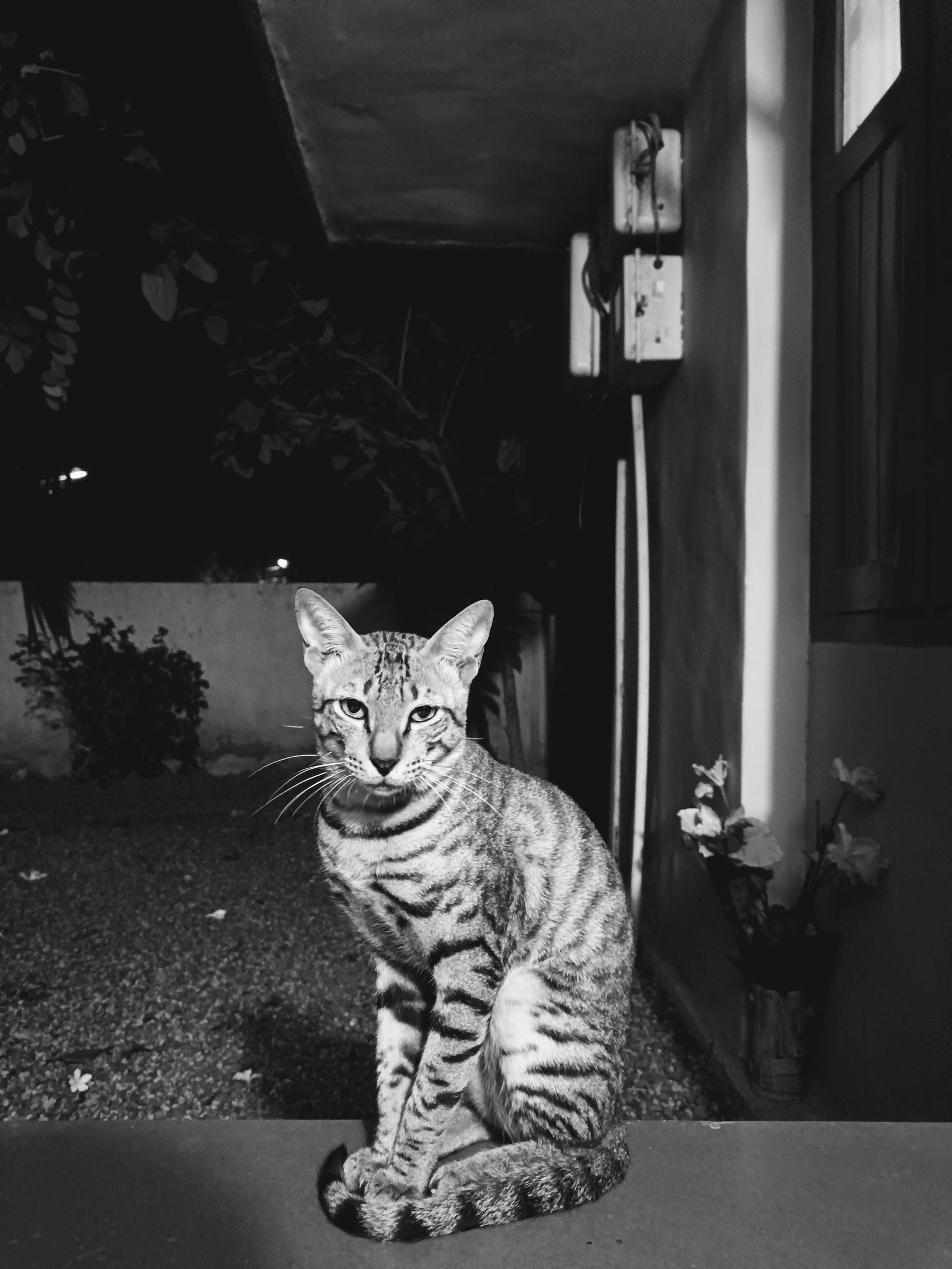Photograph 17 - Archival Print by Dhwani Kamdar