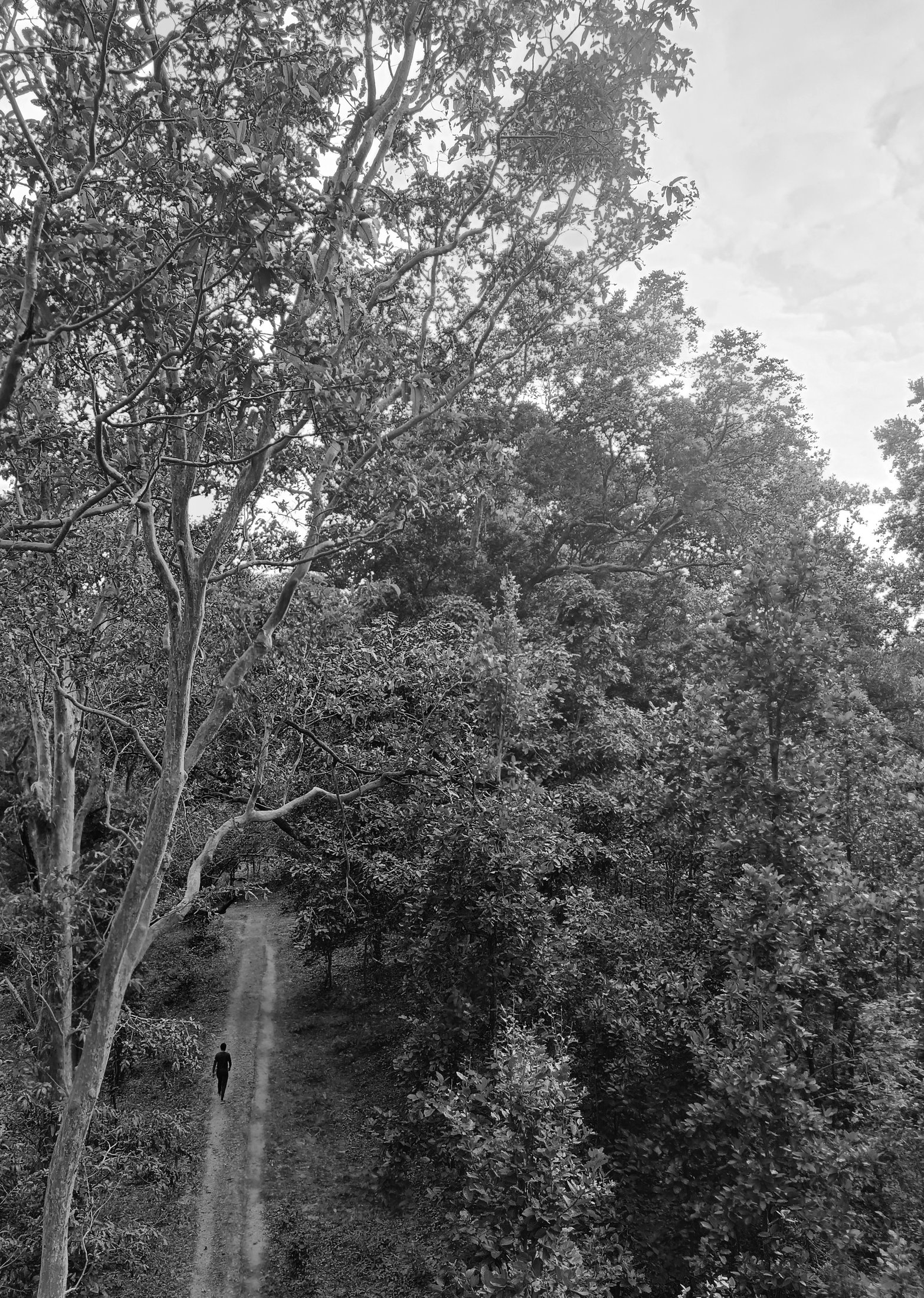 Photograph 19 - Archival Print by Dhwani Kamdar