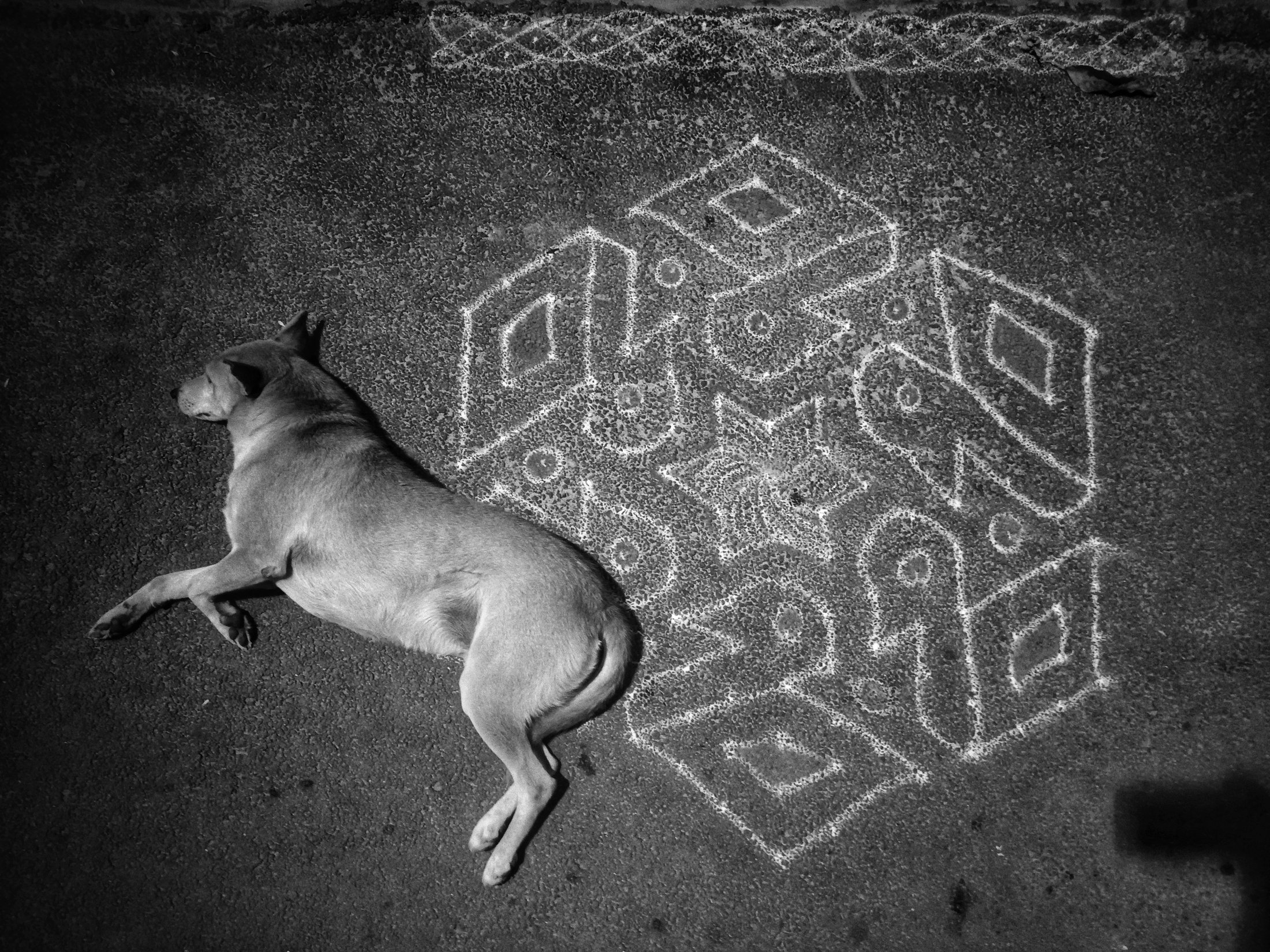 Photograph 21 - Archival Print by Dhwani Kamdar