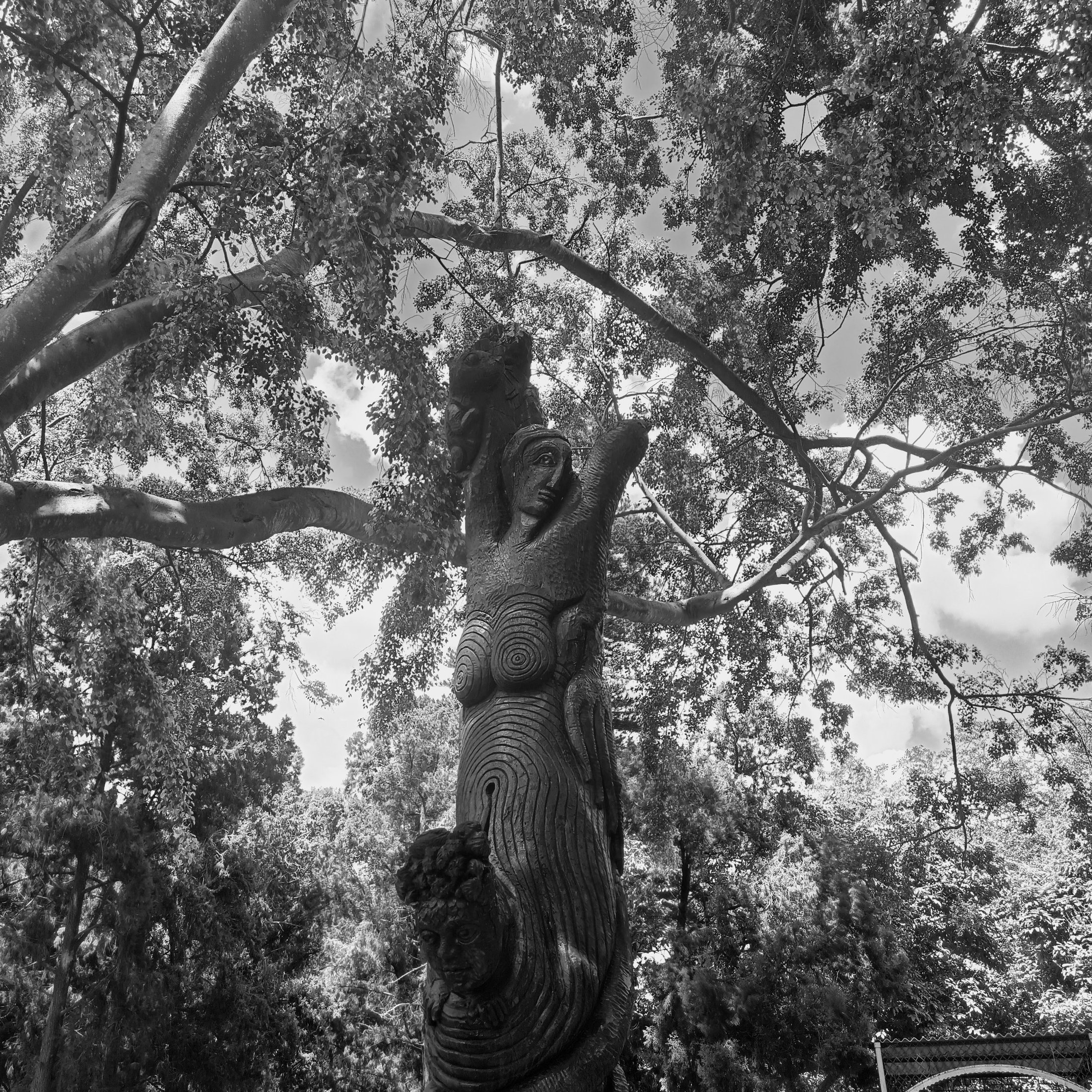 Photograph 28 - Archival Print by Dhwani Kamdar