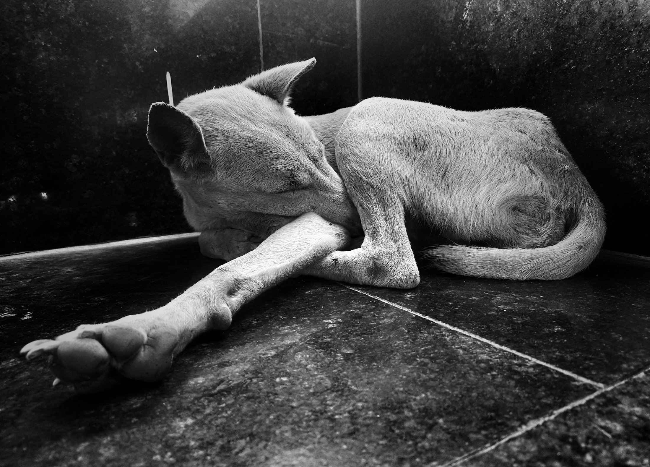 Photograph 30 - Archival Print by Dhwani Kamdar